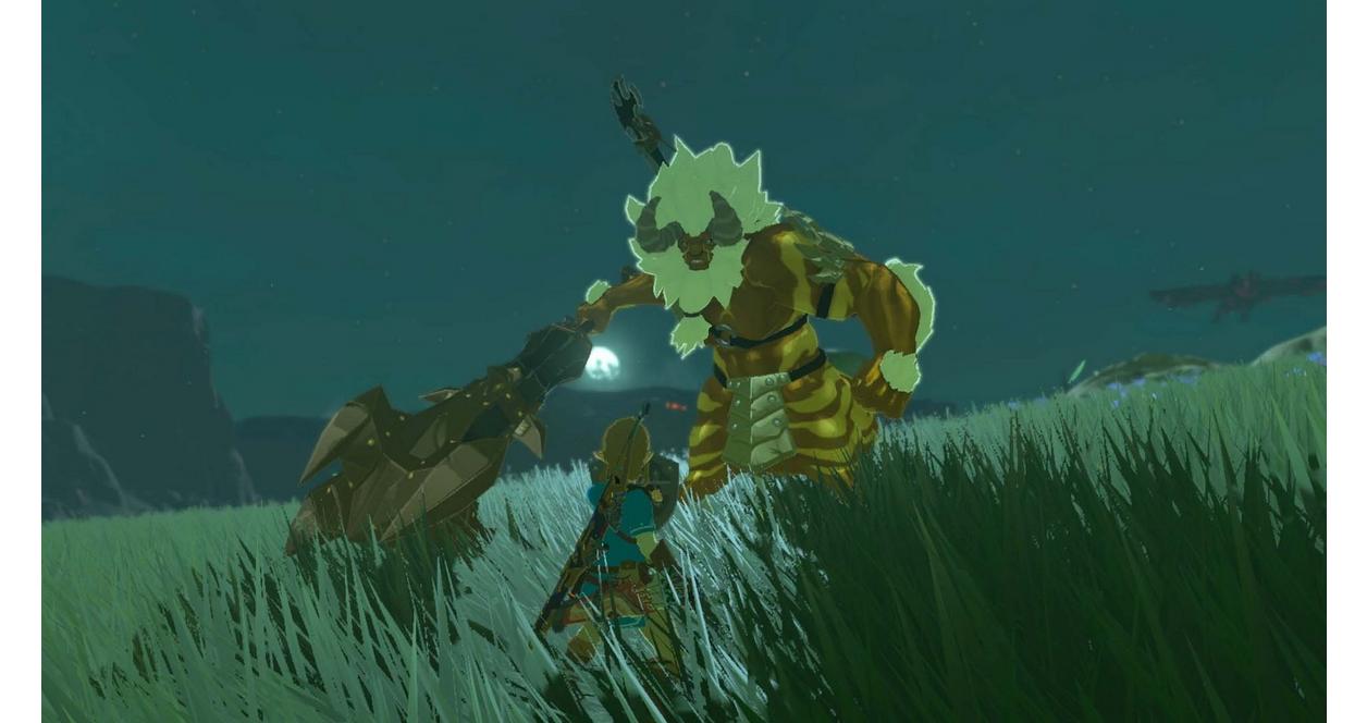 The Legend of Zelda: Breath of the Wild Expansion Pass - Nintendo Switch