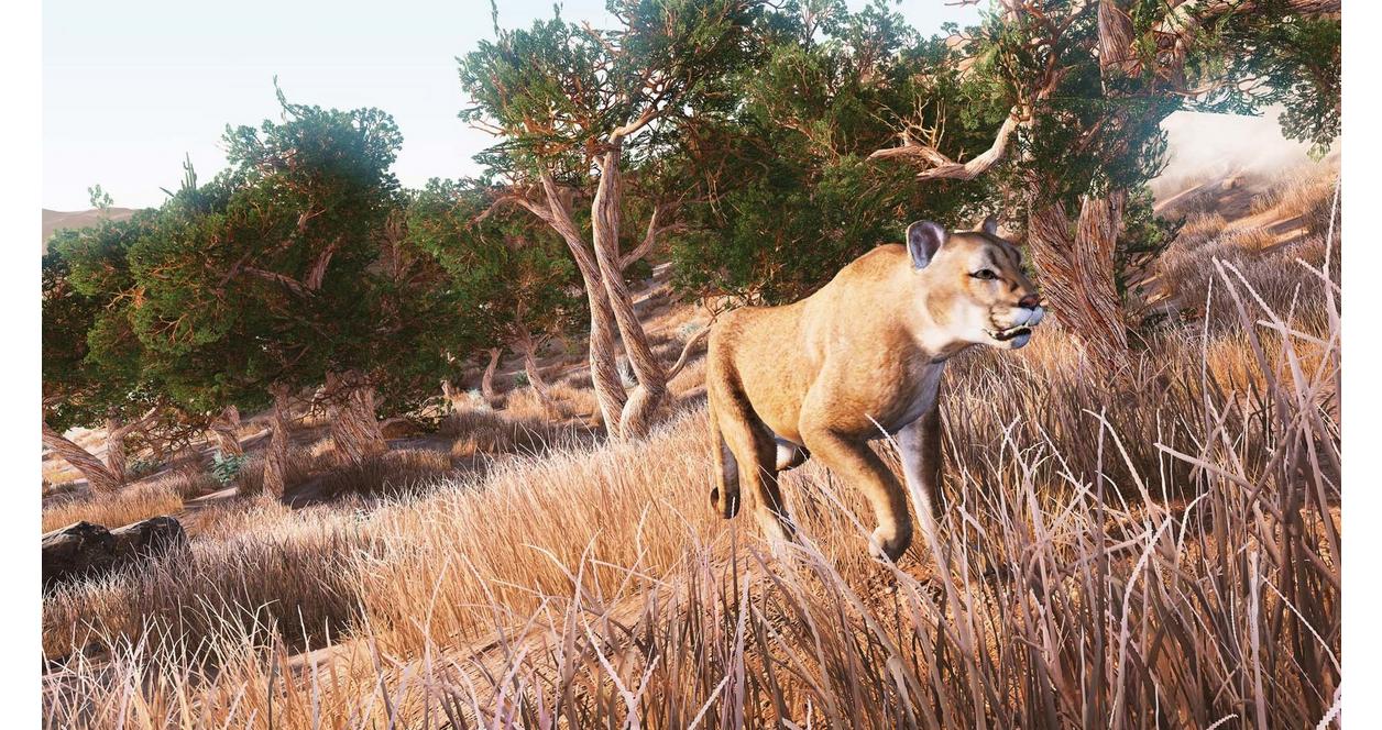 Hunting Simulator - PlayStation 4