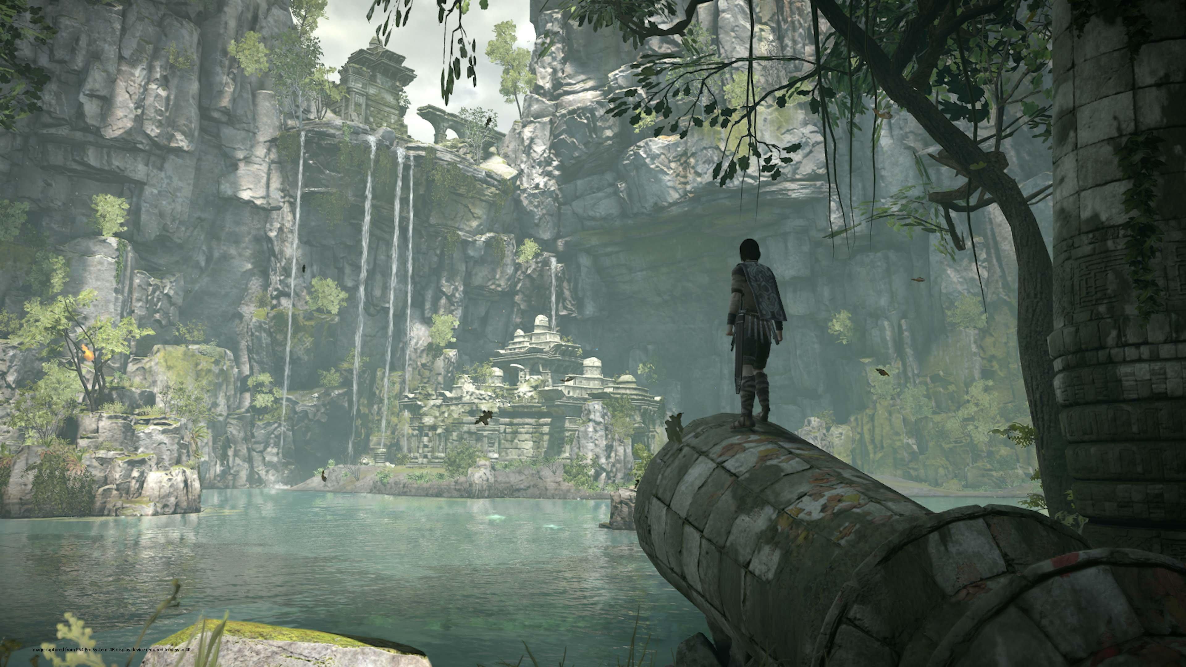  Shadow of the Colossus : Video Games