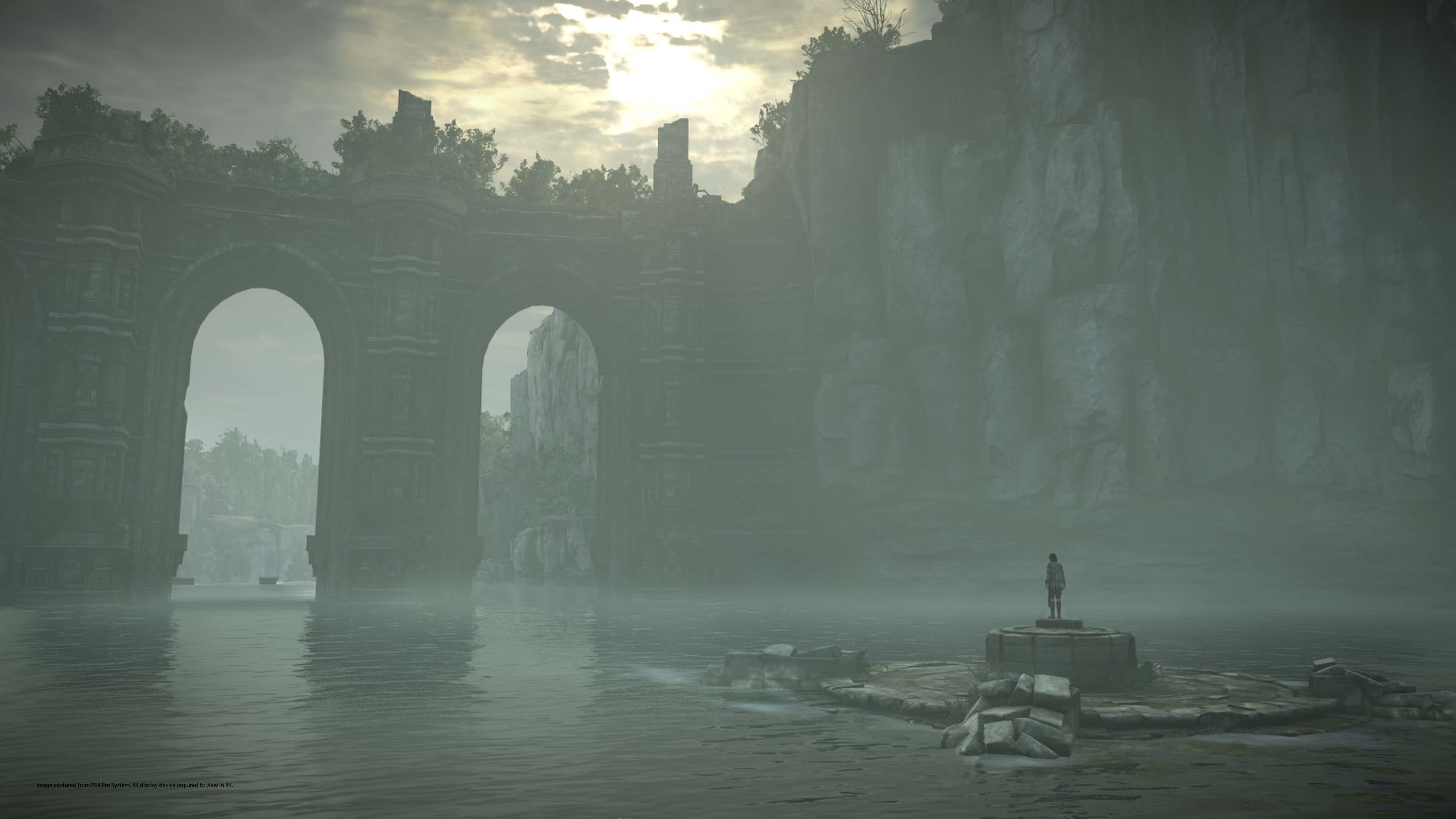  Shadow of the Colossus - PlayStation 4 : Sony