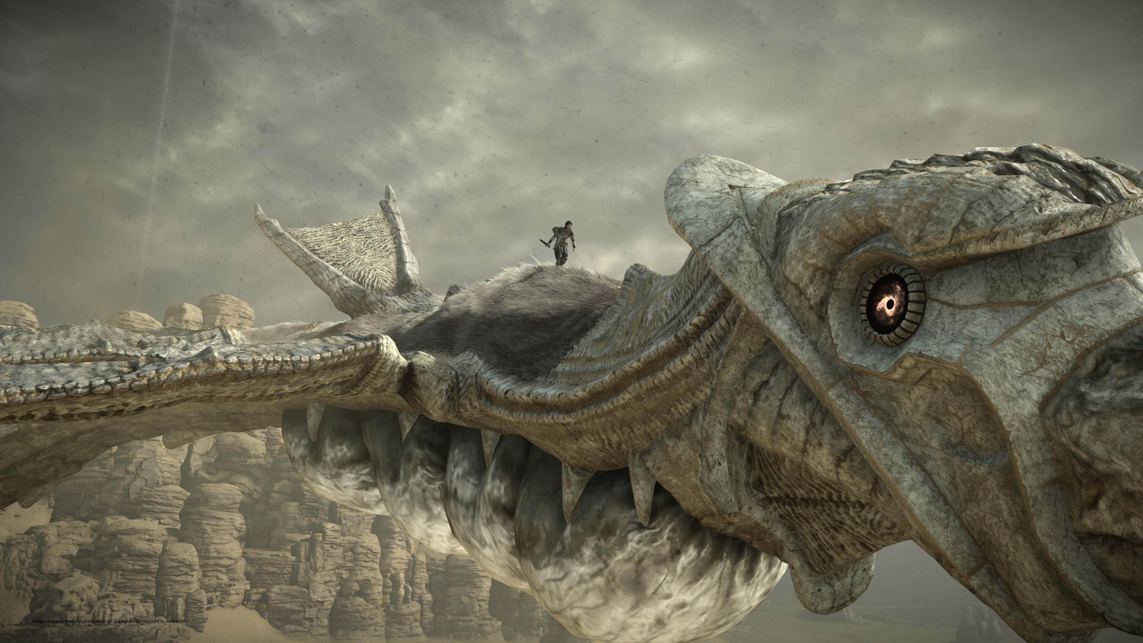 Shadow of the Colossus' Is Just As Good on PlayStation 4 Over 10