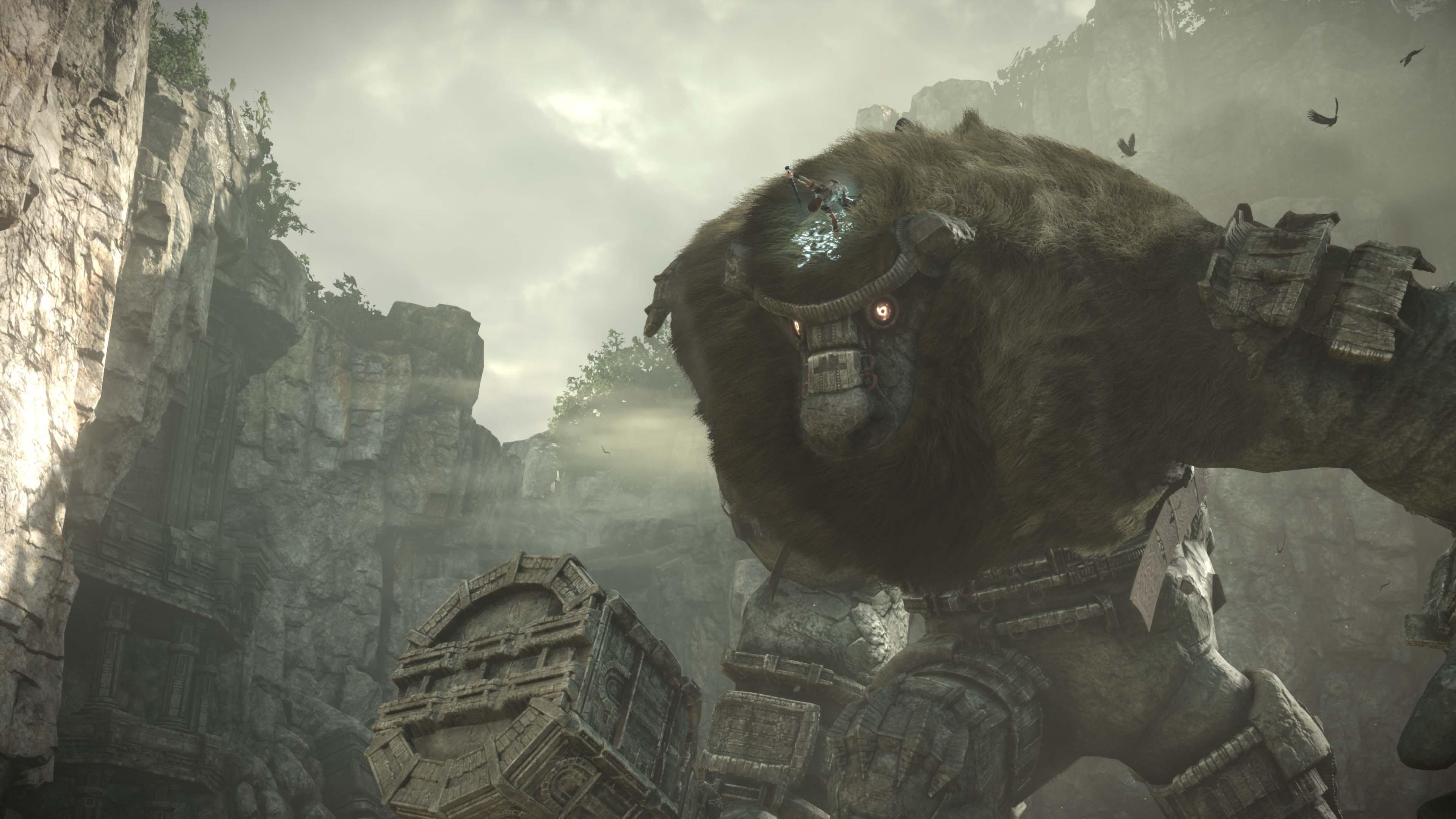  Shadow of the Colossus (PS4) : Video Games