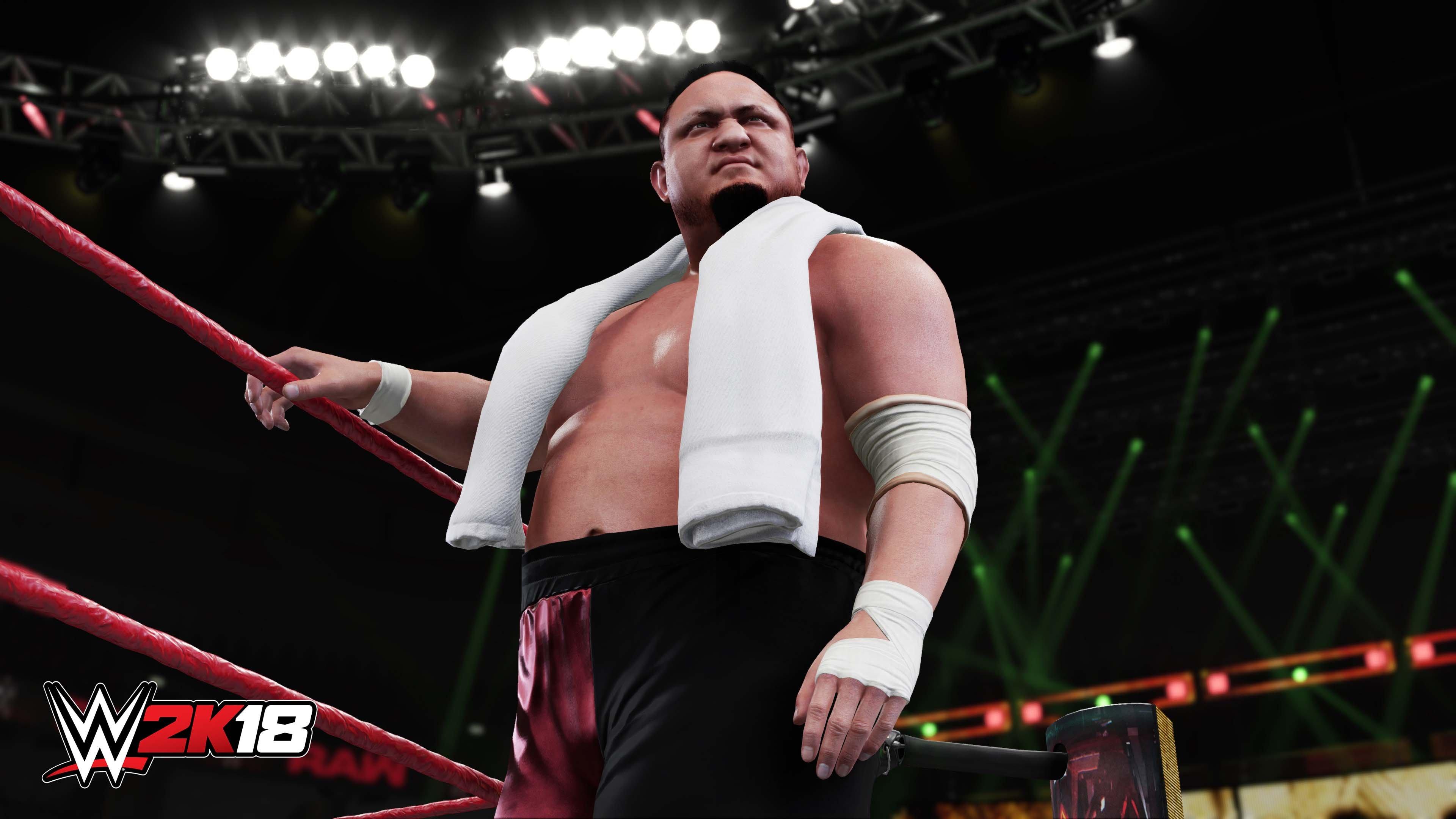 WWE-2K18---Nintendo-Switch.jpg