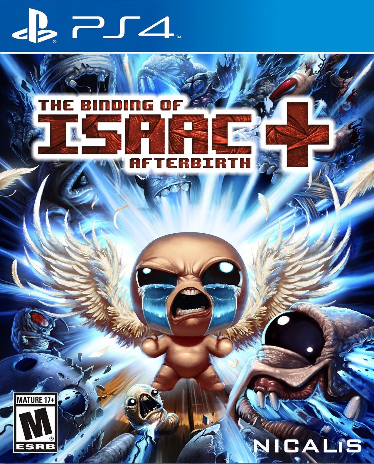  The Binding of Isaac: Afterbirth+ - Nintendo Switch : Video  Games