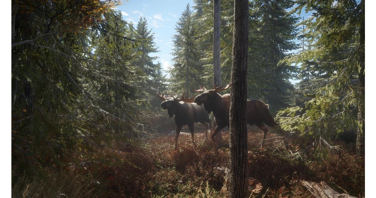 Hunter: Call of the Wild - Xbox One