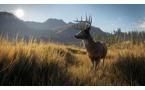 Hunter: Call of the Wild - PlayStation 4