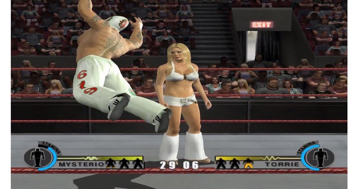 WWE Day of Reckoning 2 - GameCube