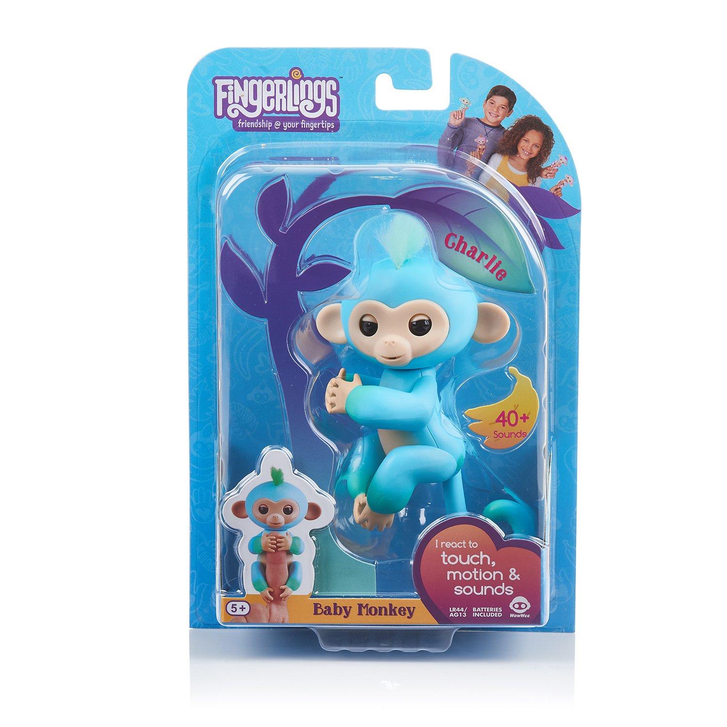 blue fingerling monkey