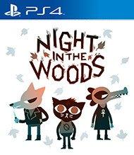 A night in on sale the woods switch