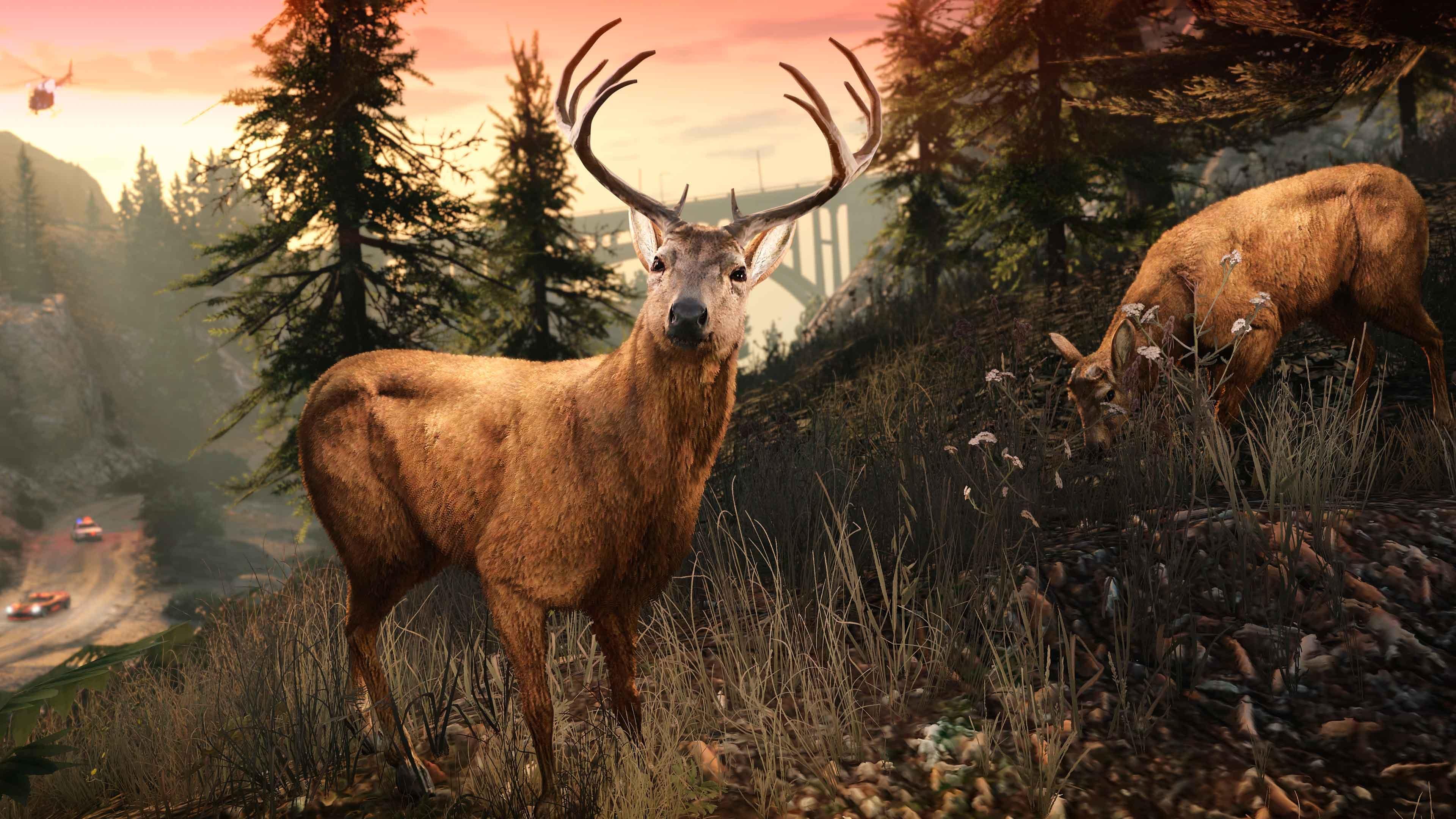 Grand Theft Auto V Enhanced - PC