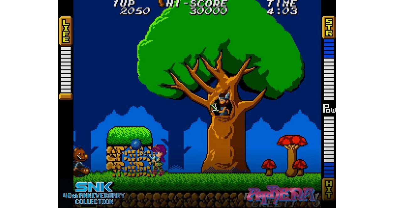 SNK 40th Anniversary Collection - Nintendo Switch | NIS