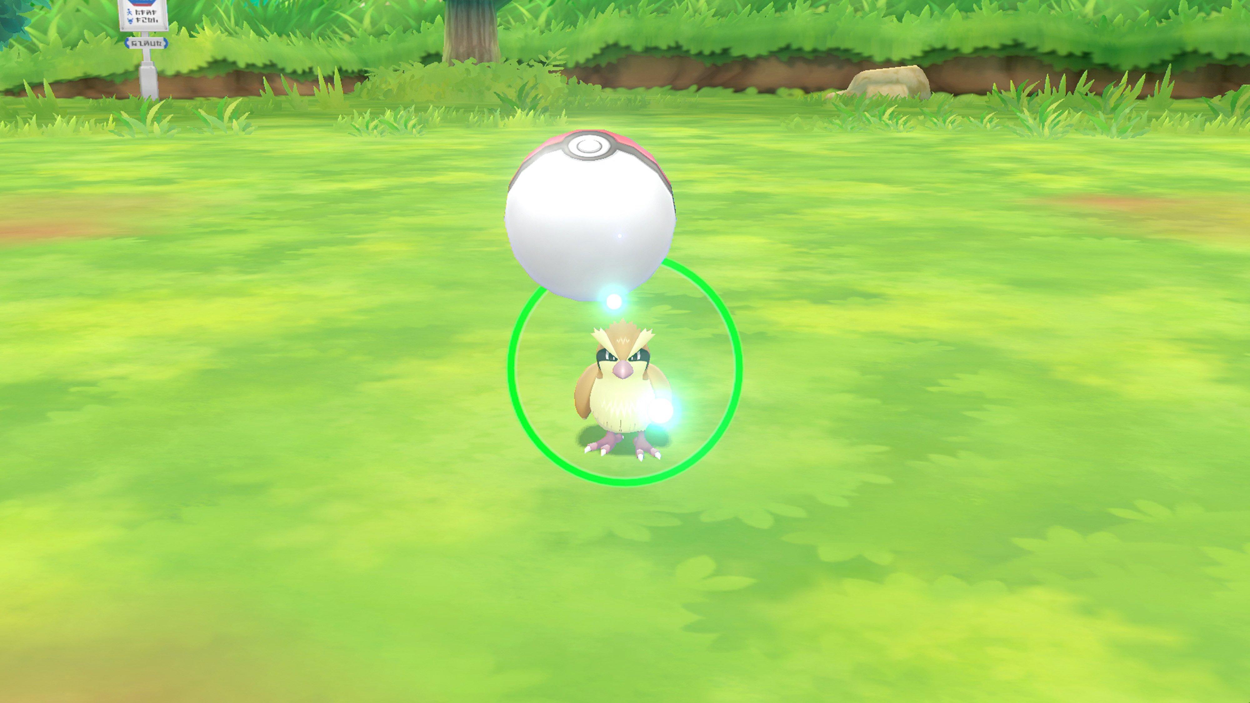 pokemon let's go nintendo store