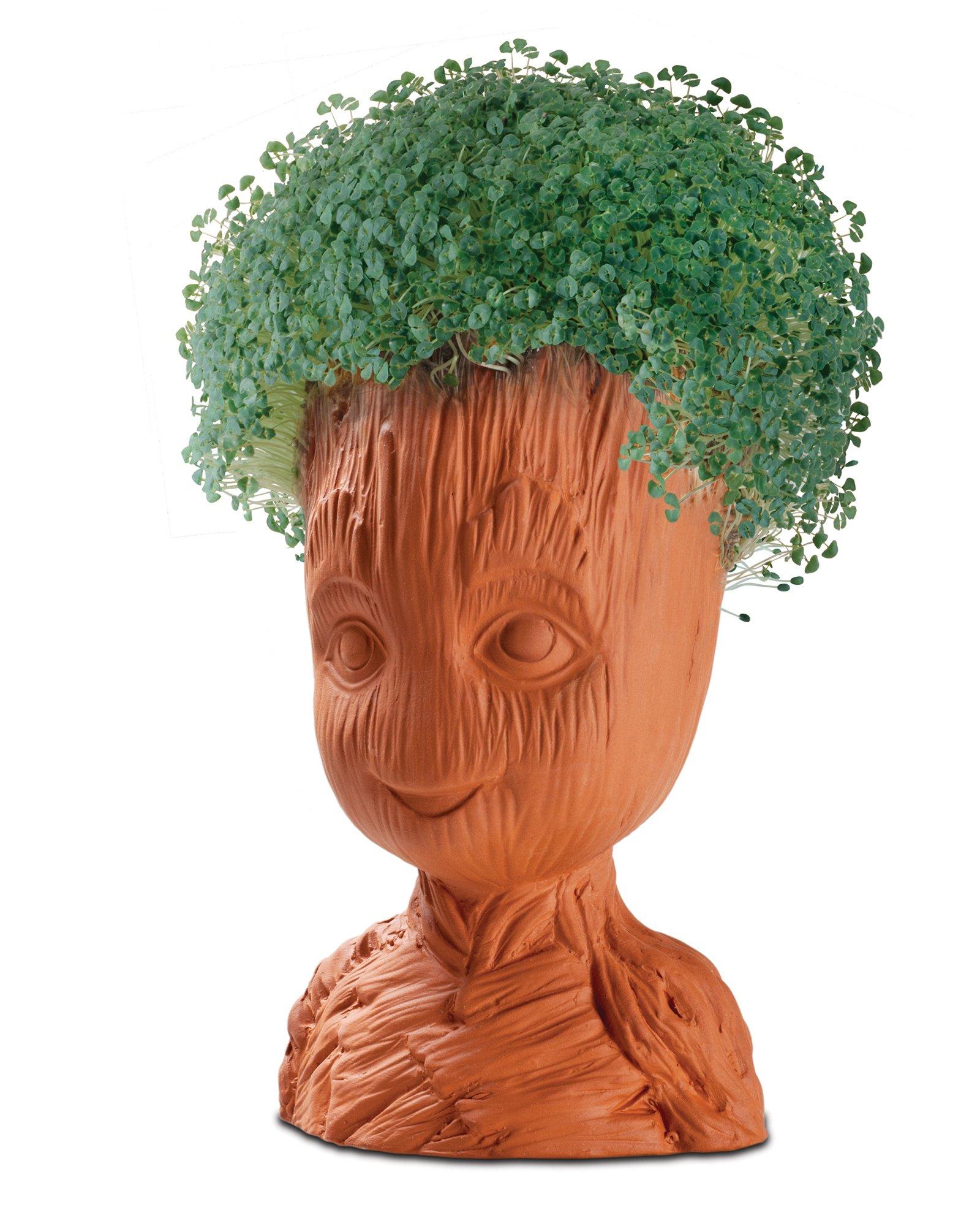 Collection 98+ Pictures Pictures Of A Chia Pet Full HD, 2k, 4k