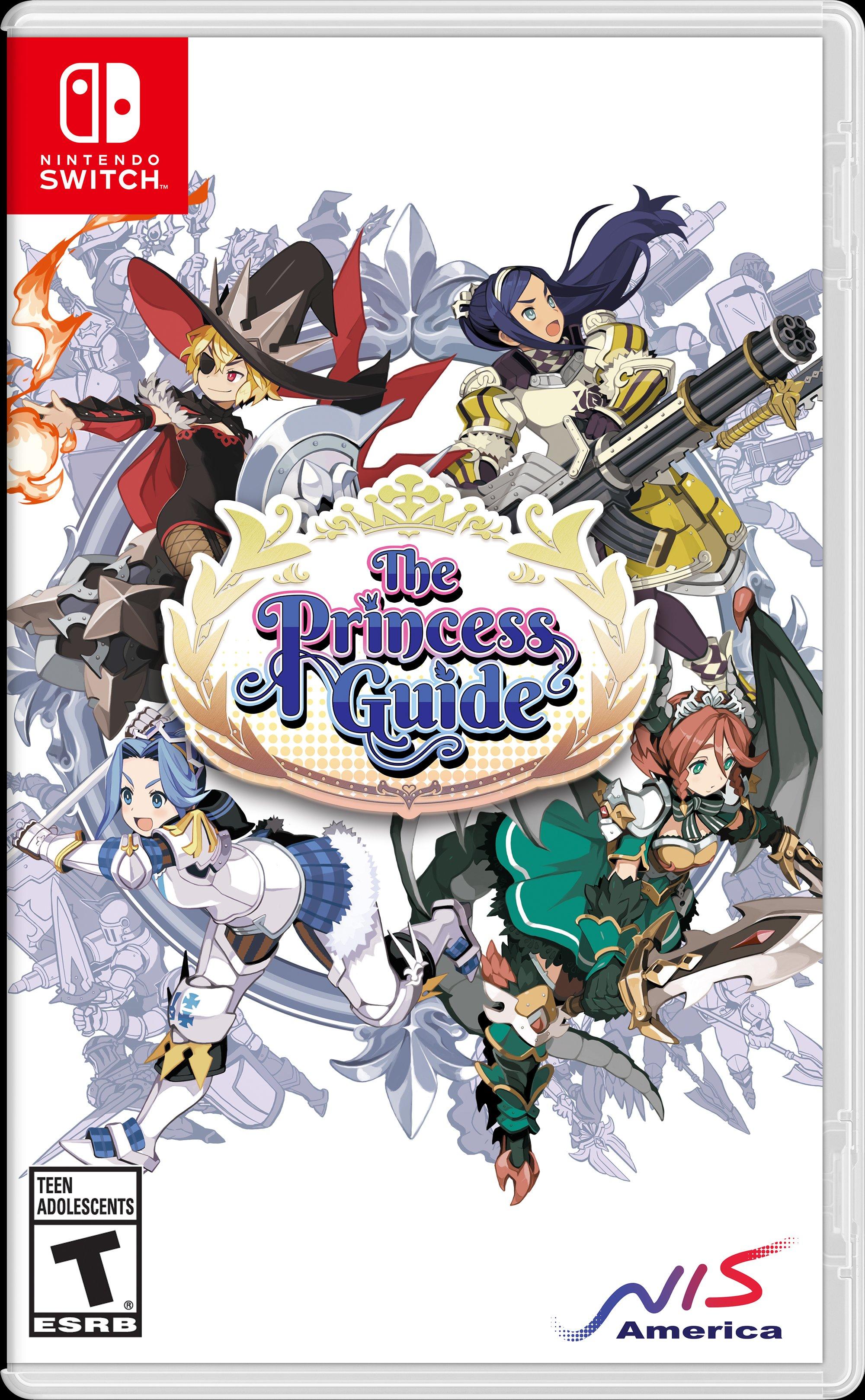 The Princess Guide Nintendo Switch