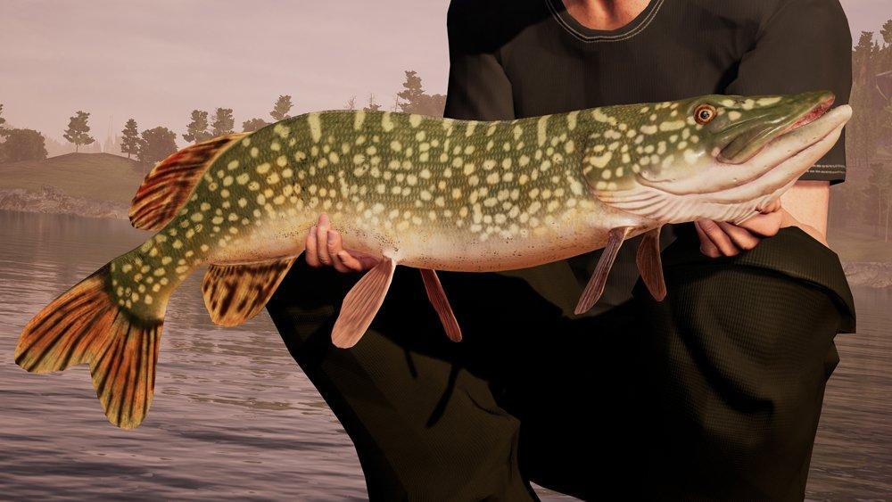 Fishing Sim World - Xbox One, Dovetail Games