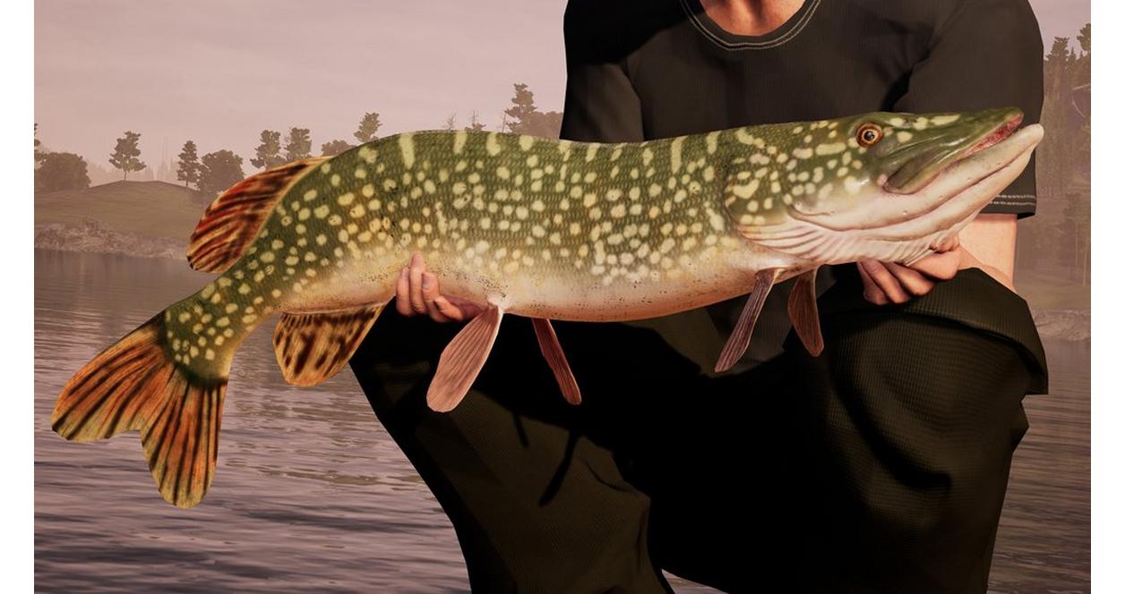 Fishing Sim World - Xbox One | Dovetail Games | GameStop