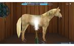 My Riding Stables:Life with Horses - Nintendo Switch