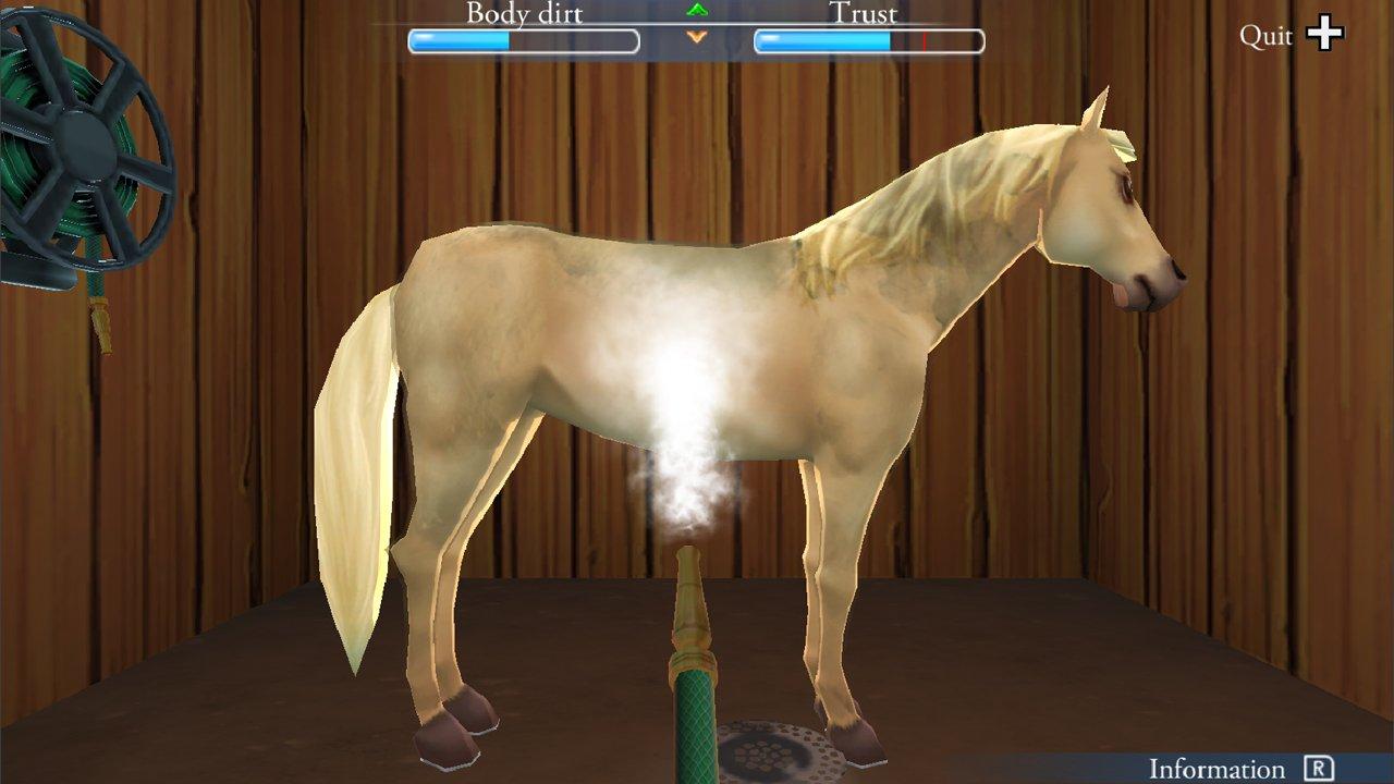 My Riding StablesLife with Horses Nintendo Switch