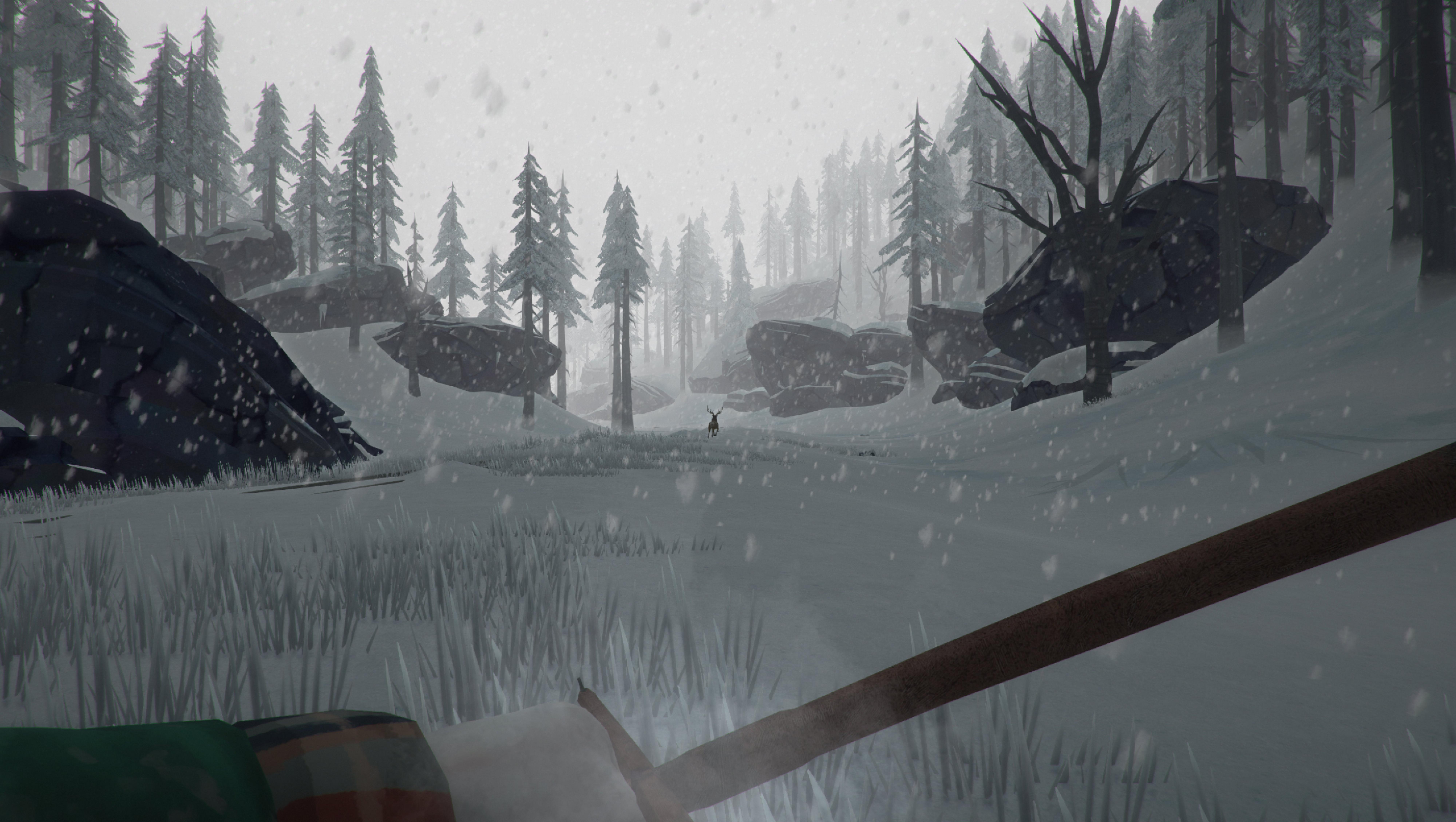 The Long Dark - PlayStation 4