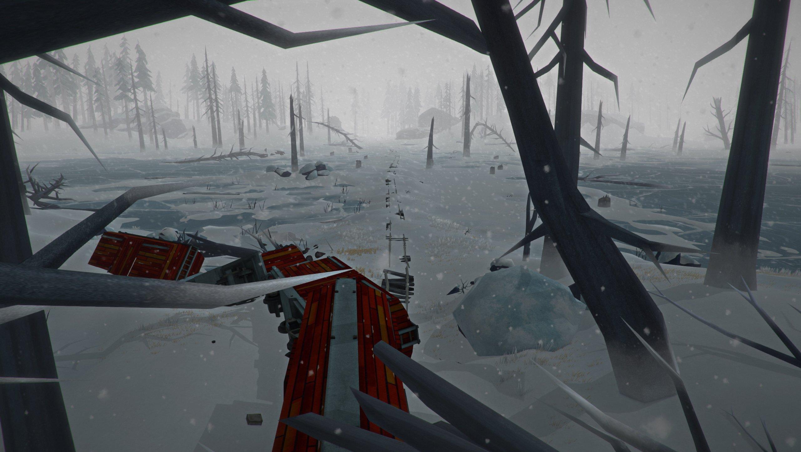 The Long Dark - PlayStation 4