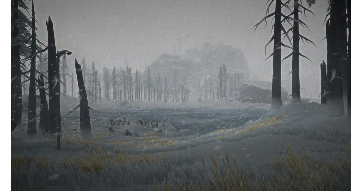 The Long Dark Skybound Games GameStop