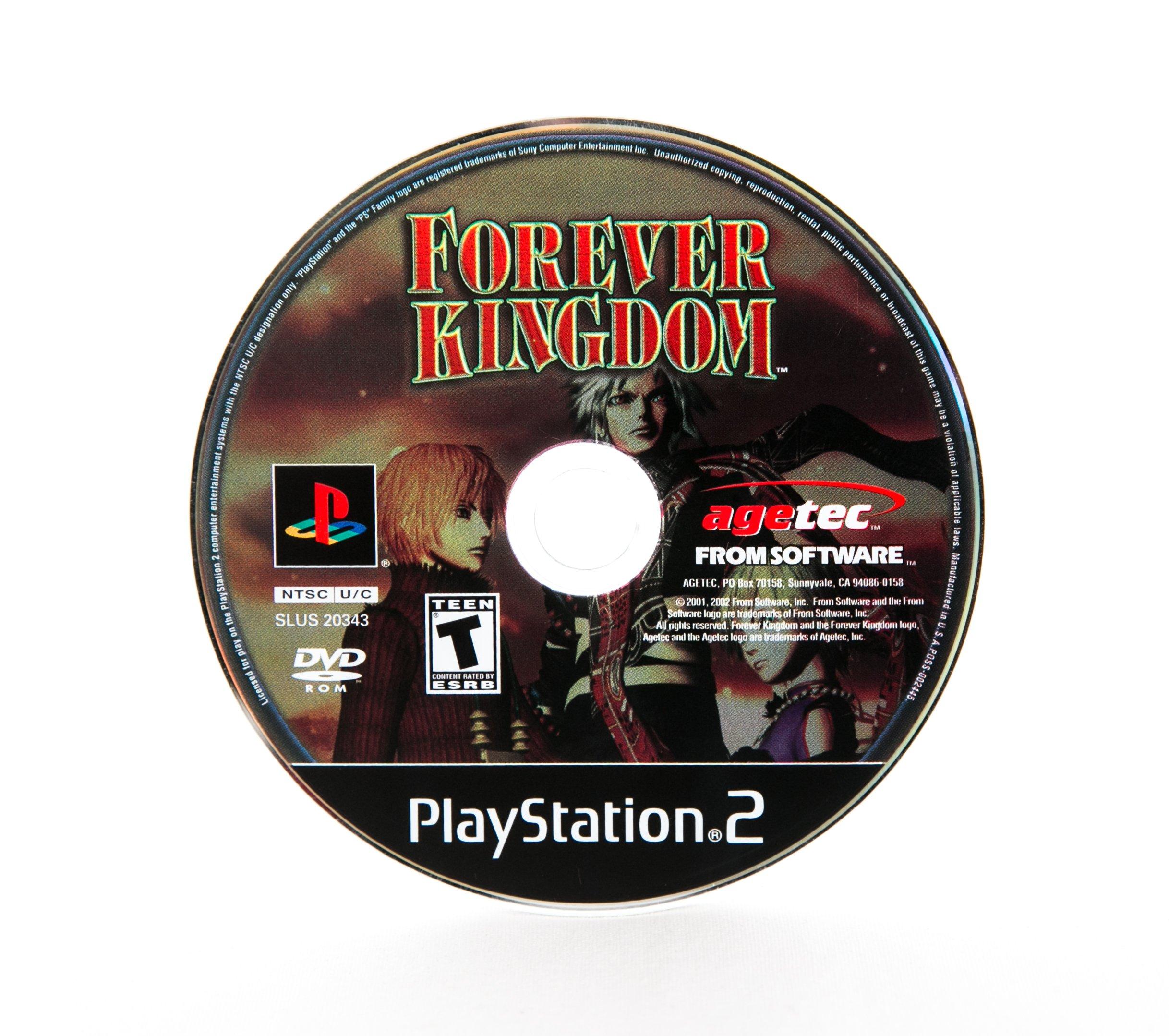 Forever Kingdom - PlayStation 2