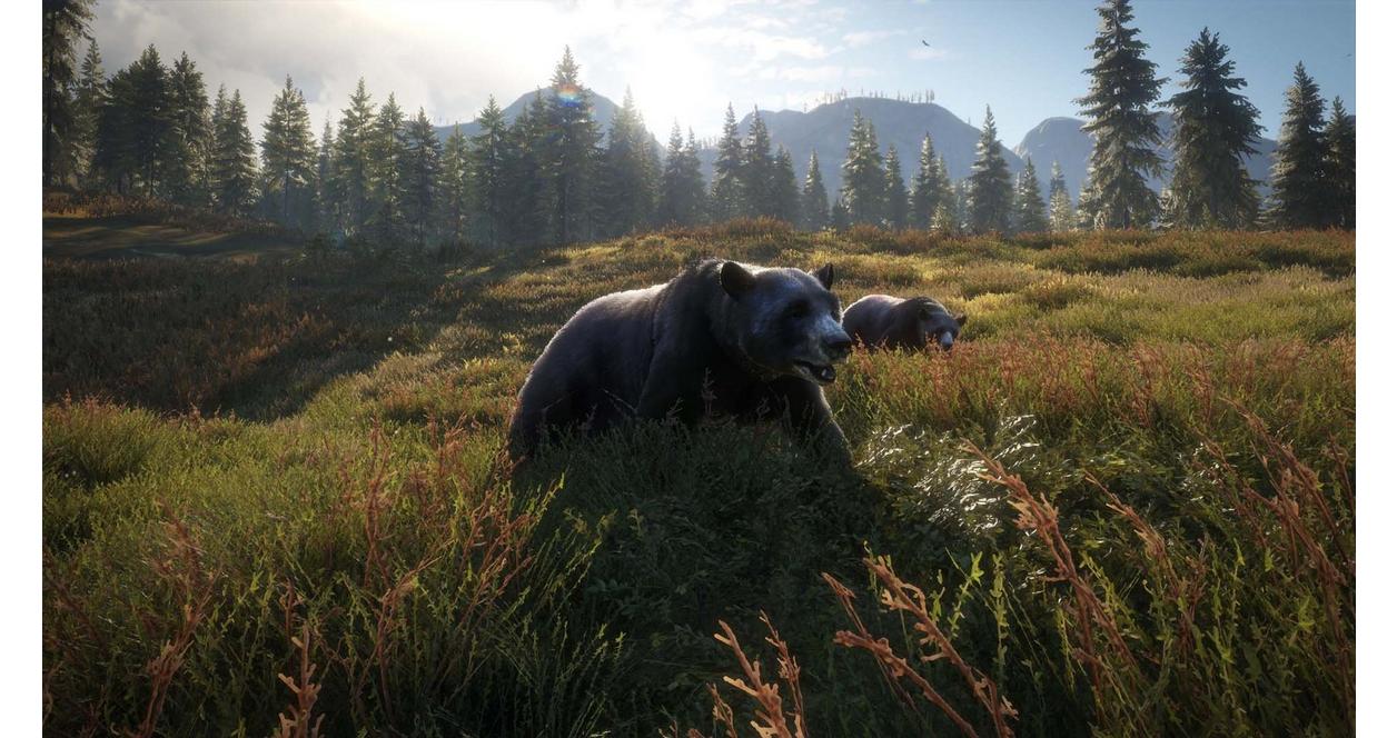 The Hunter: Call of the Wild 2019 Edition - Xbox One