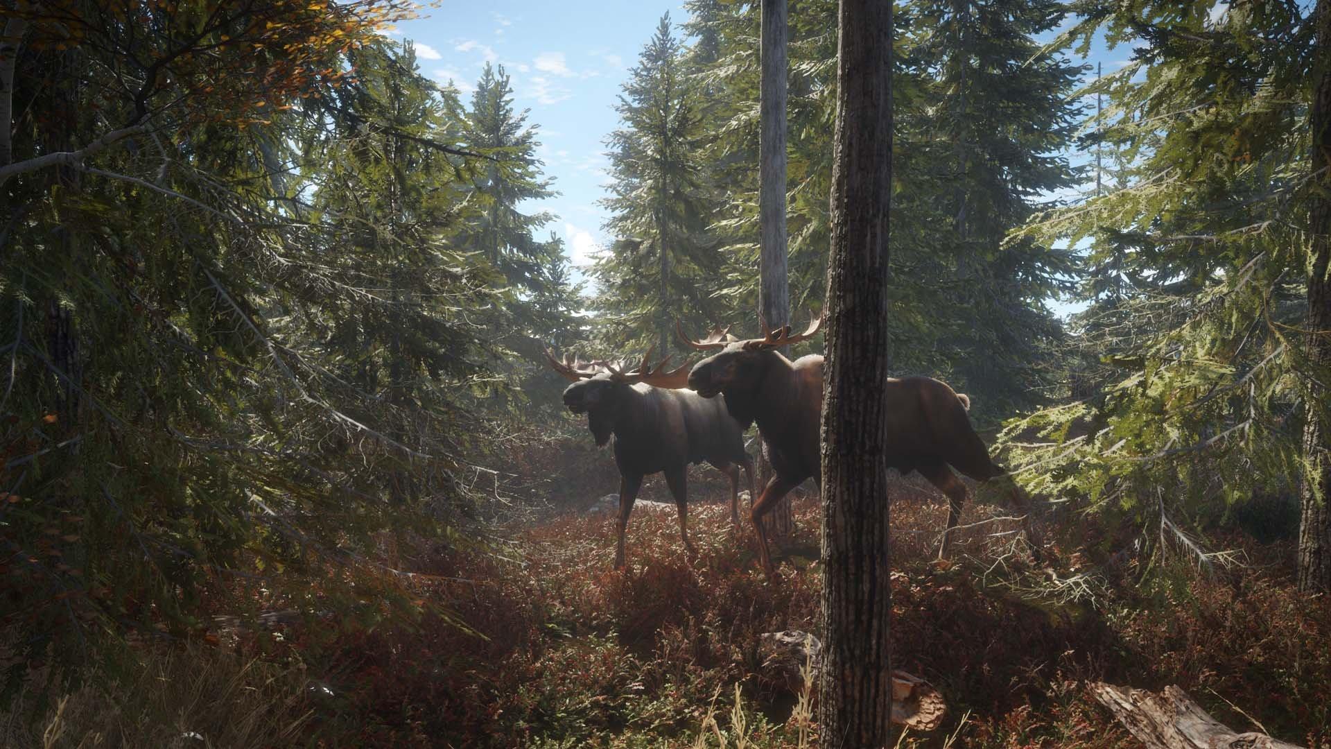 The Hunter Call of the Wild 2019 Edition PlayStation 4