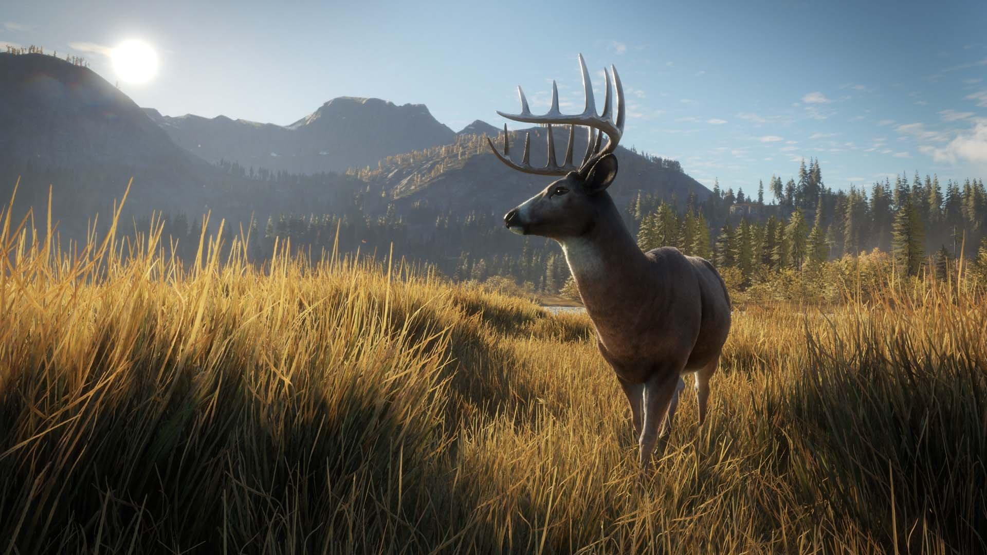 The Hunter Call of the Wild 2019 Edition PlayStation 4
