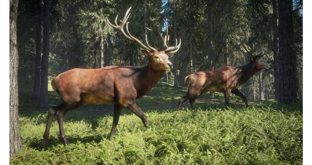 The Hunter: Call of the Wild 2019 Edition - Xbox One