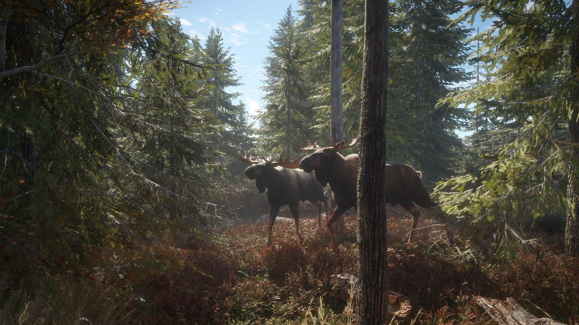 The Hunter Call of the Wild 2019 Edition PlayStation 4