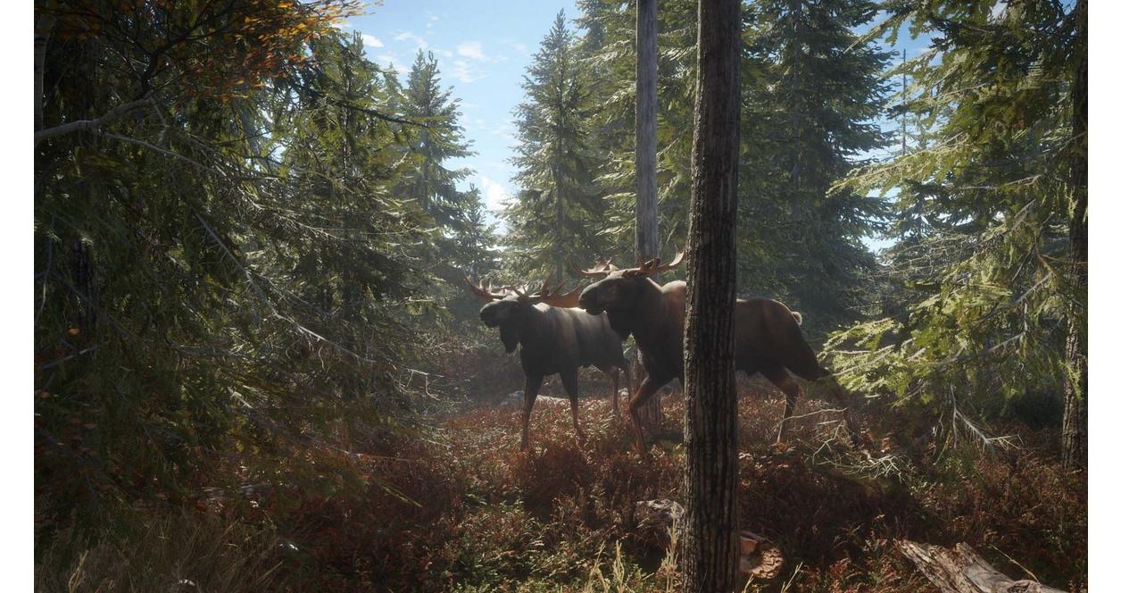 The Hunter: Call of the Wild 2019 Edition - Xbox One