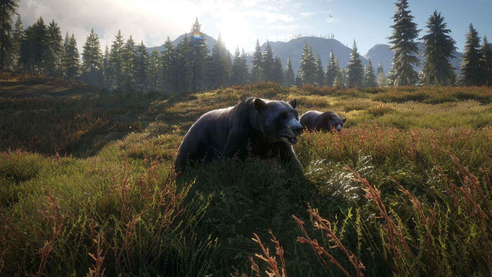 xbox one hunting games 2019