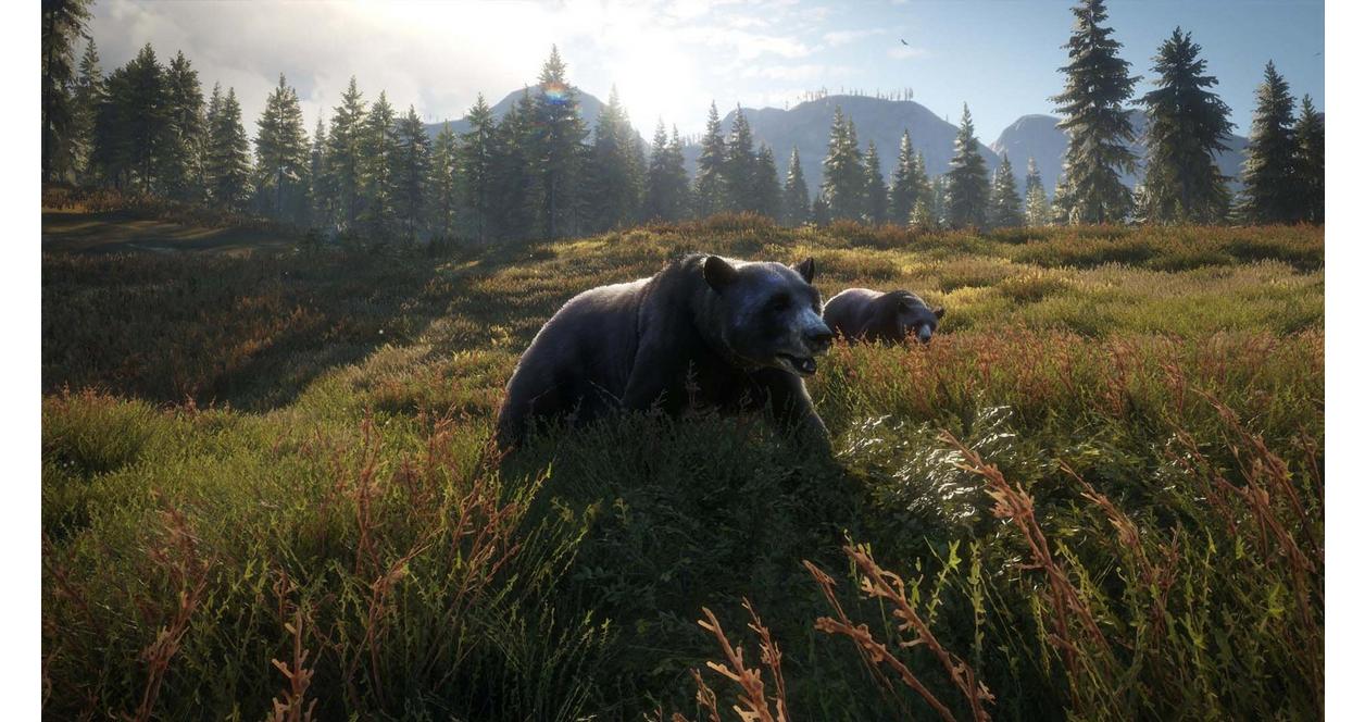 The Hunter: Call of the Wild 2019 Edition - Xbox One