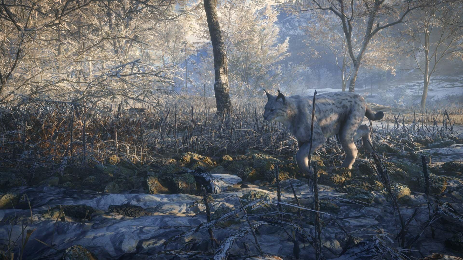 The Hunter Call of the Wild 2019 Edition PlayStation 4