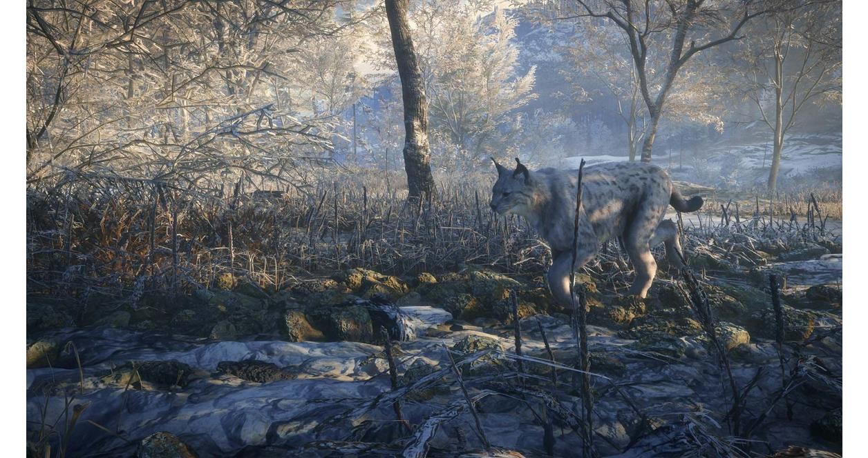 The Hunter: Call of the Wild 2019 Edition - Xbox One
