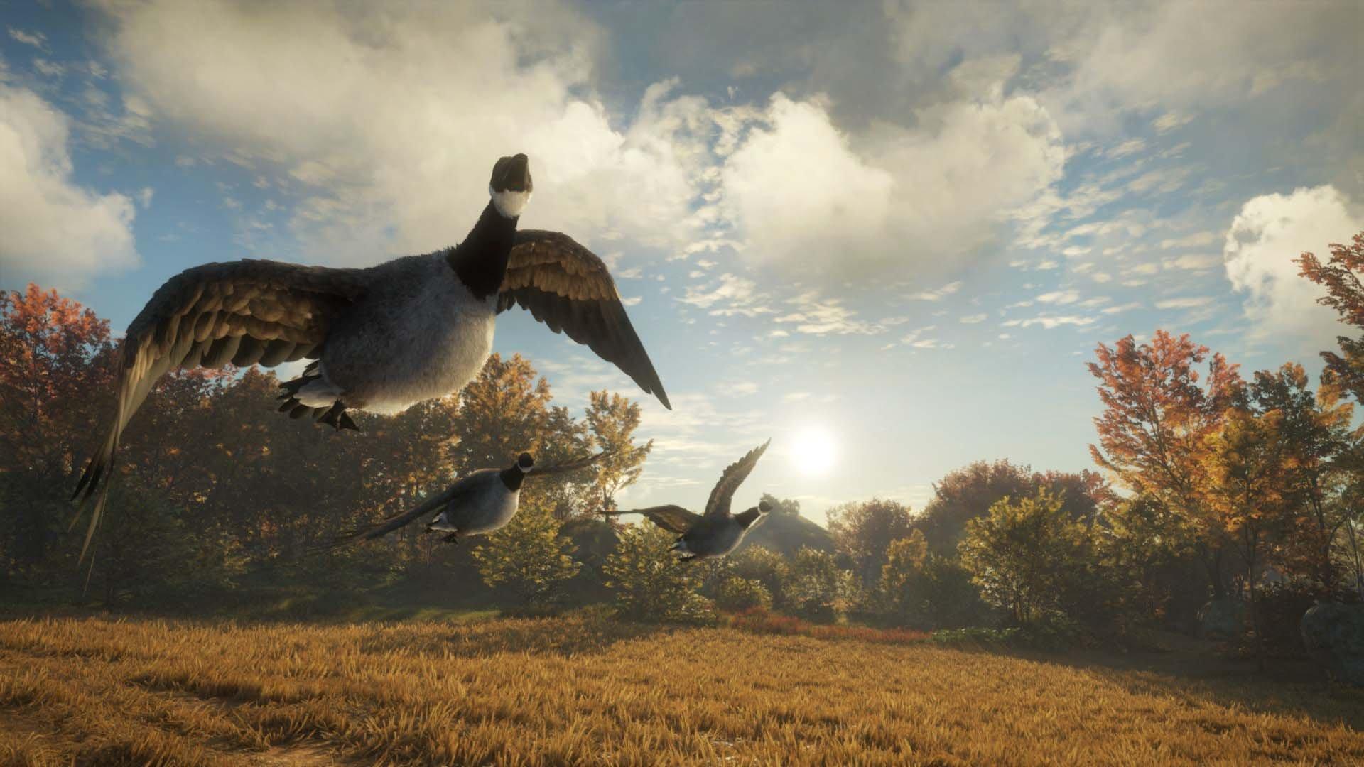 The Hunter Call of the Wild 2019 Edition PlayStation 4