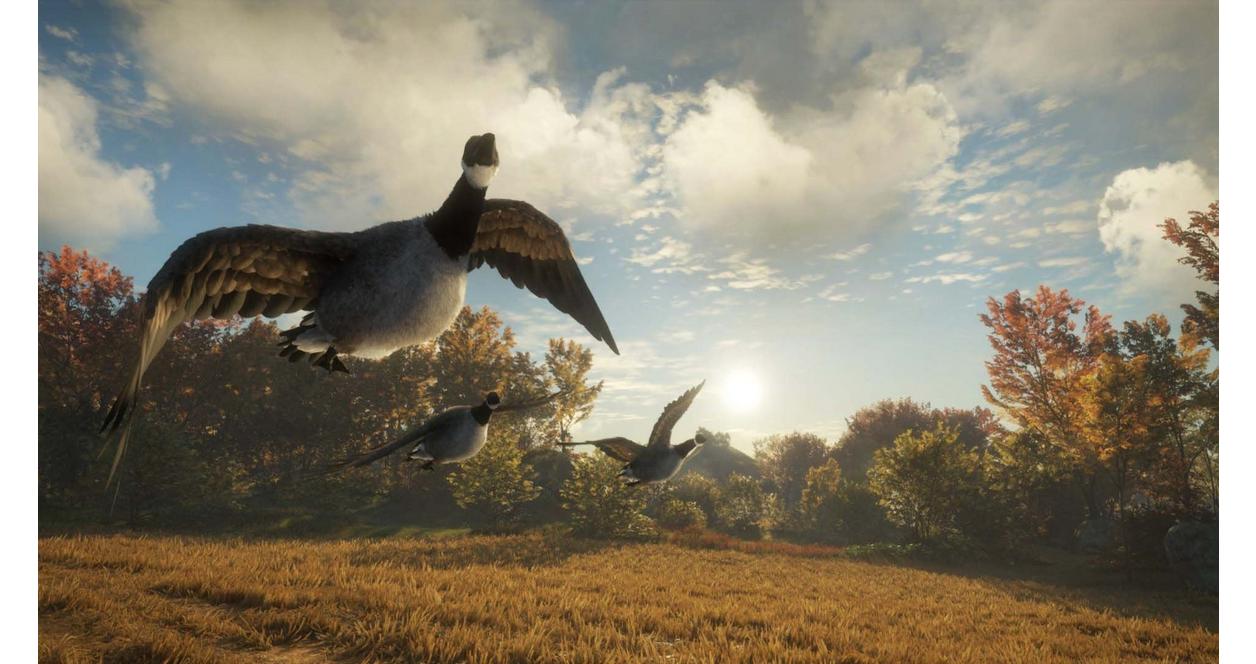 The Hunter: Call of the Wild 2019 Edition - Xbox One