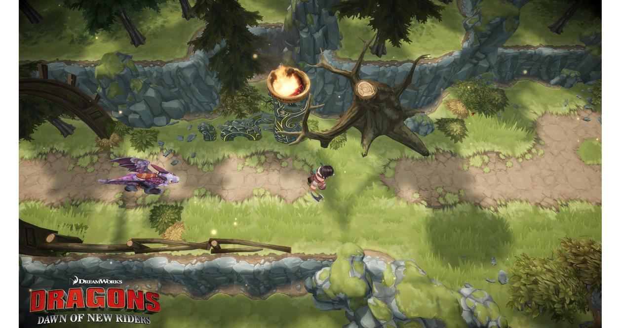 Dragons: Dawn of New Riders - Nintendo Switch | Outright Games