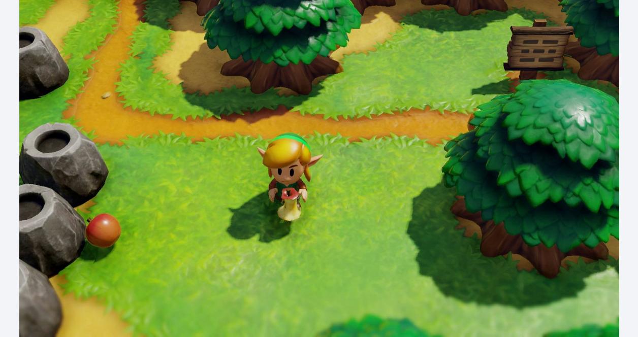 The Legend Link's Awakening - Nintendo Switch | Nintendo Switch | GameStop
