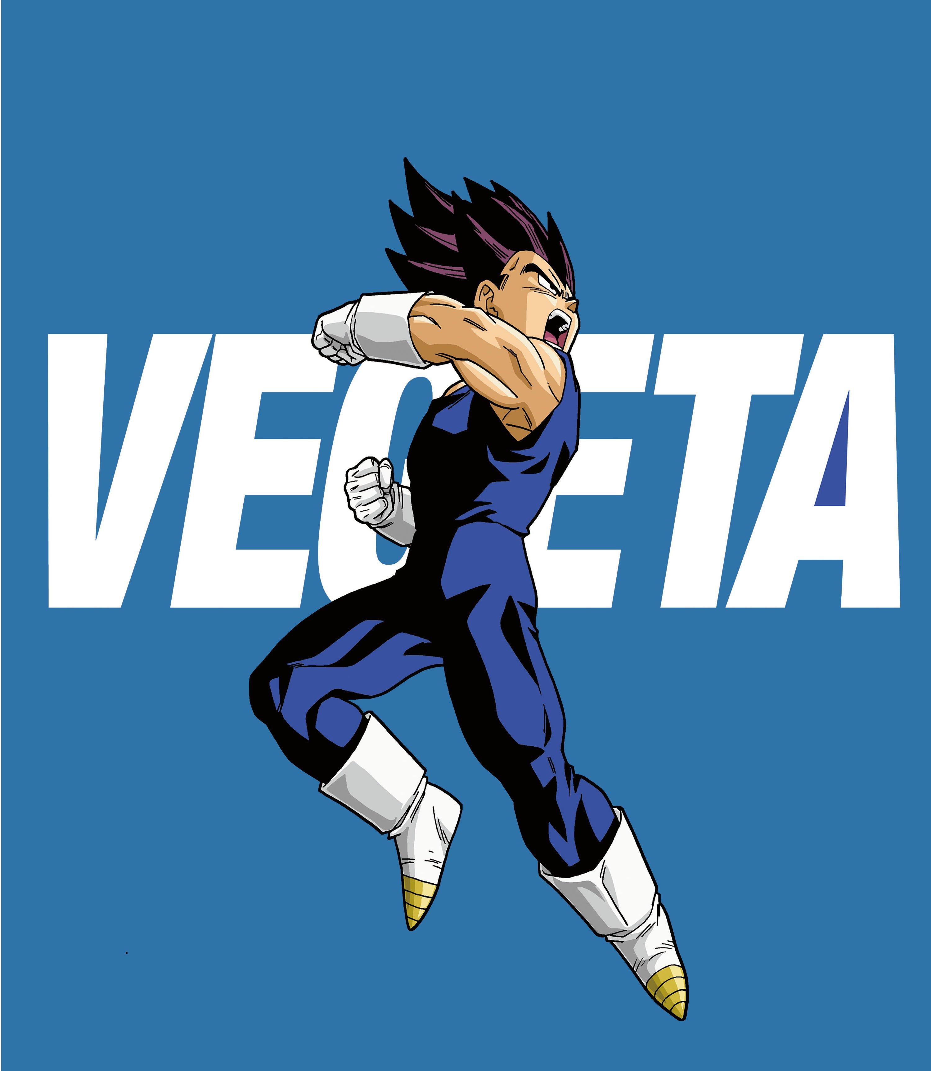 Dragon Ball Z Vegeta Character Long Sleeve T-Shirt | GameStop