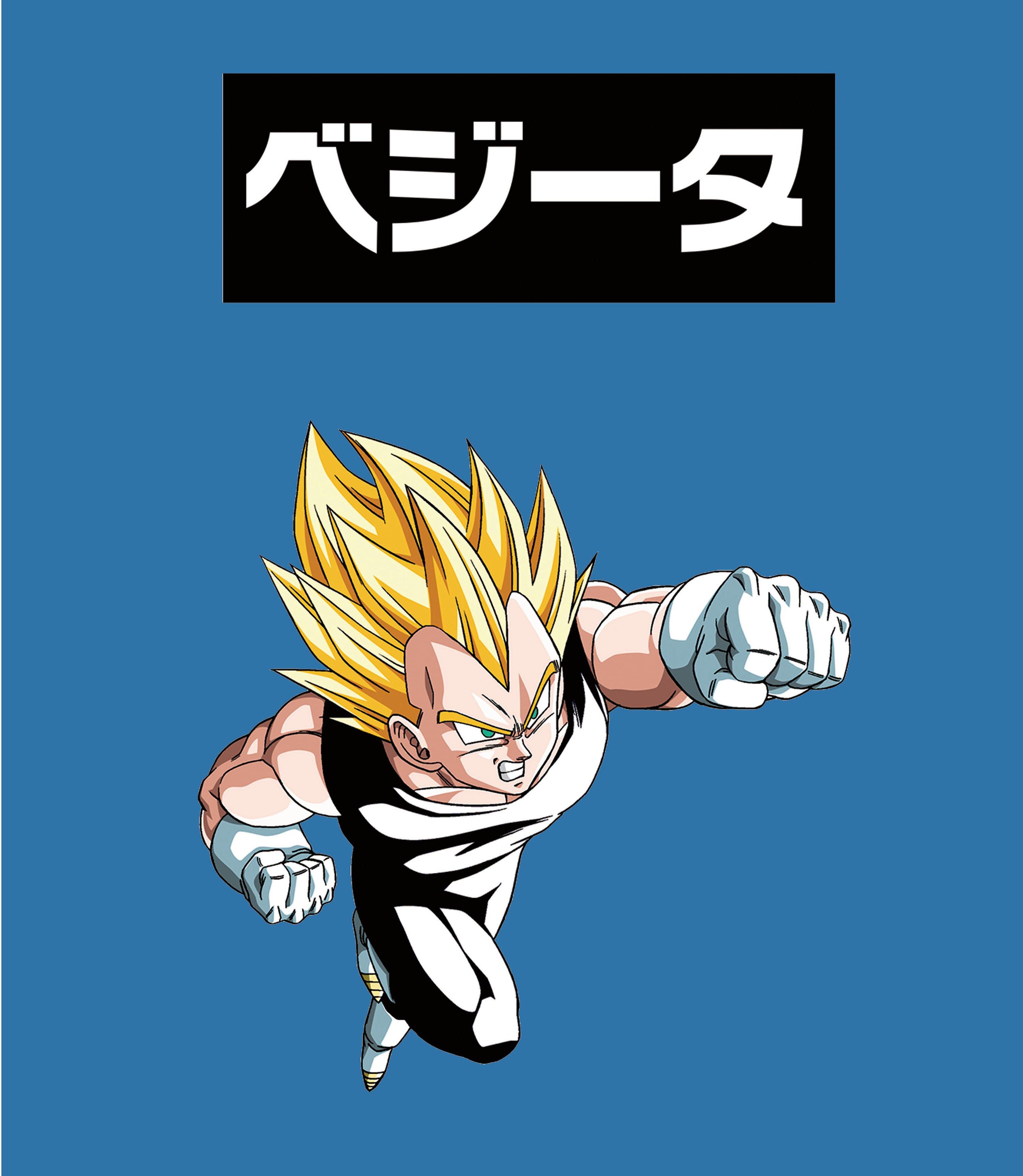 Dragon Ball Z Vegeta Character Long Sleeve T Shirt Gamestop