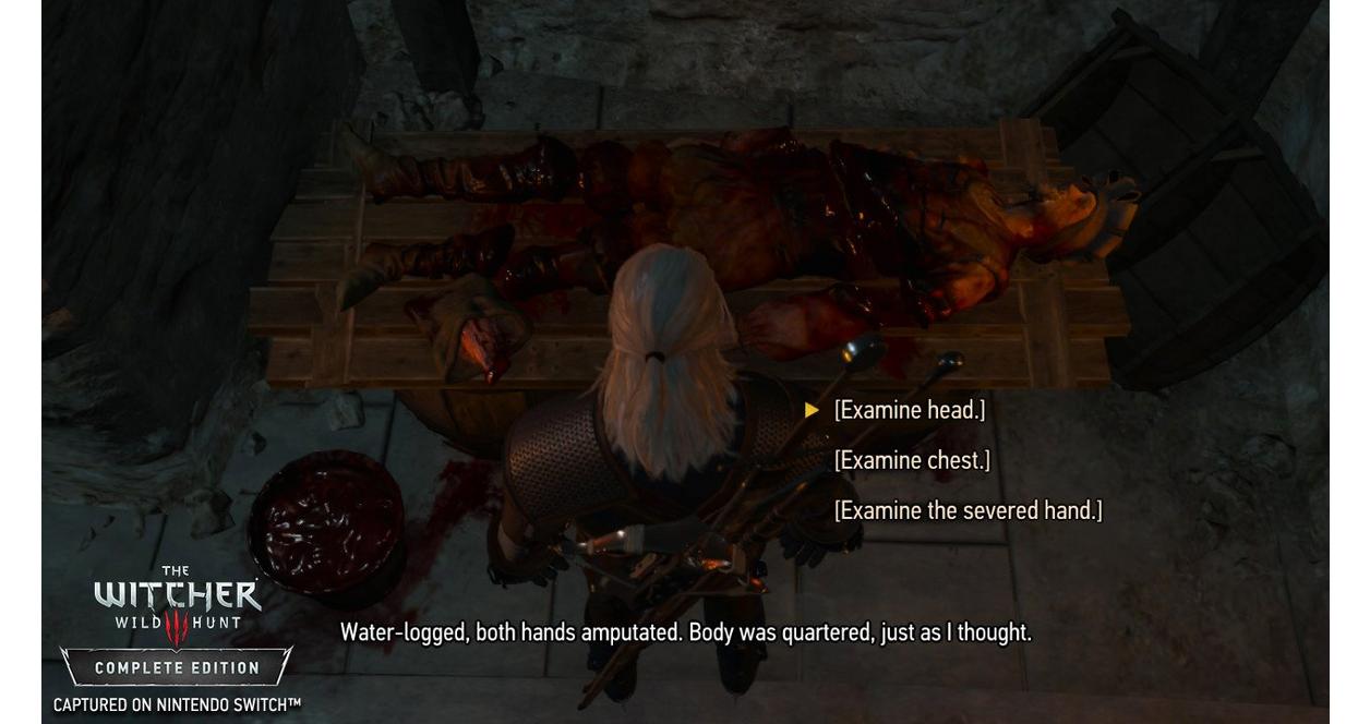 The Witcher III: Wild Hunt - Nintendo Switch