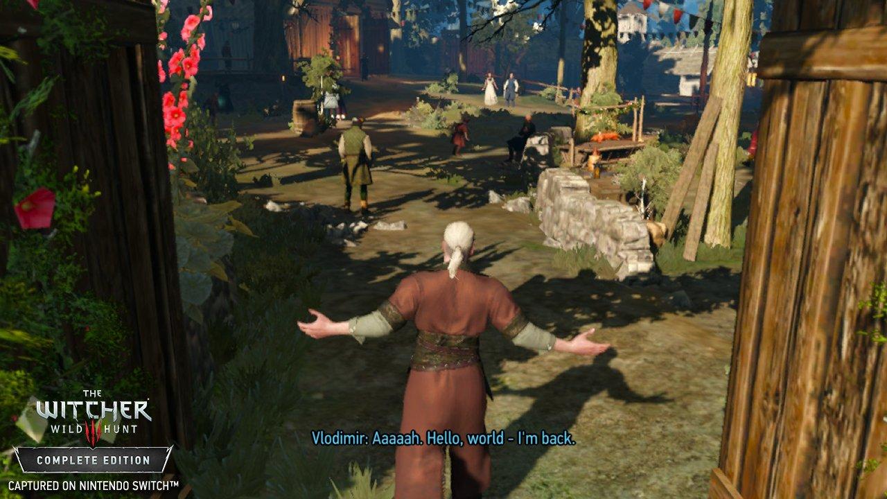 The Witcher 3: Wild Hunt, Software