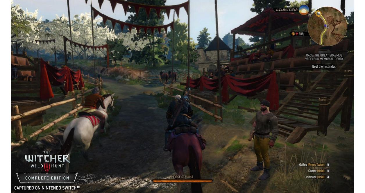 The Witcher III: Wild Hunt - Nintendo Switch