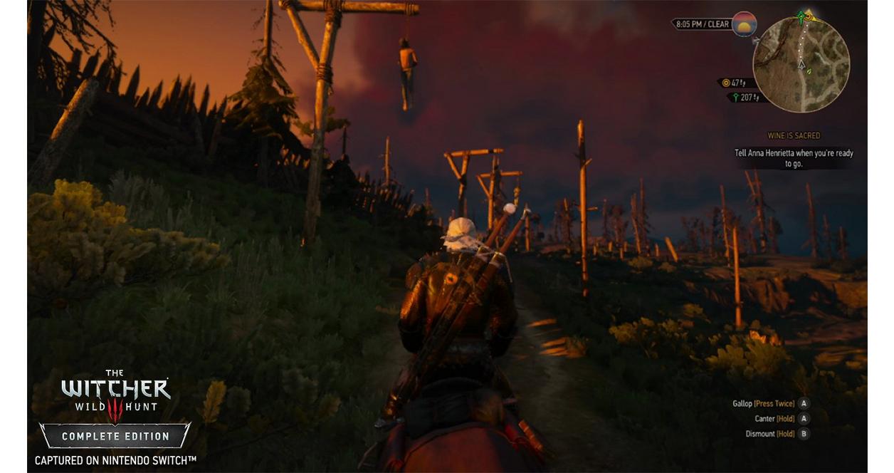 The Witcher III: Wild Hunt - Nintendo Switch