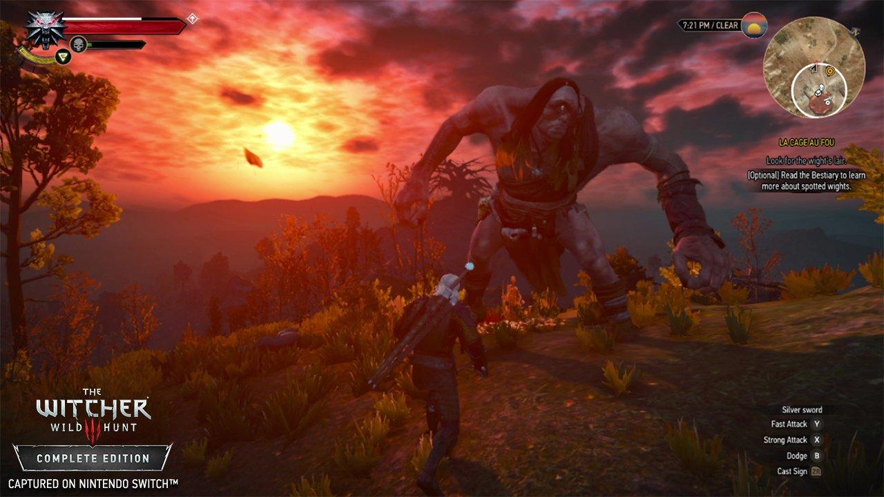 the witcher 3 wild hunt switch