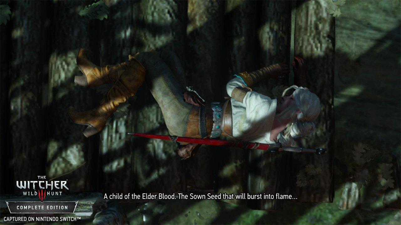 the witcher 3 switch gamestop