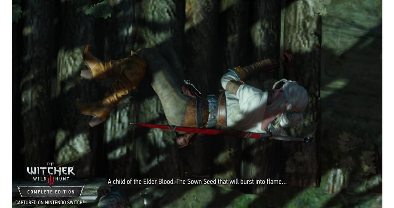 The Witcher III: Wild Hunt - Nintendo Switch