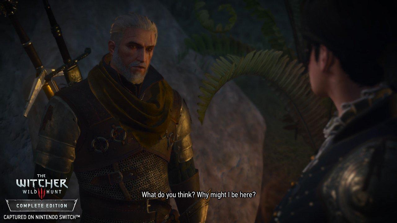 the witcher 3 switch gamestop